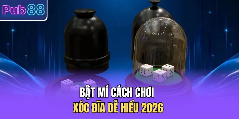 Bật mí cách chơi xóc đĩa dễ hiểu 2026 