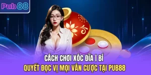 Cách Chơi Xóc Đĩa | Bí Quyết Đọc Vị Mọi Ván Cược Tại PUB88